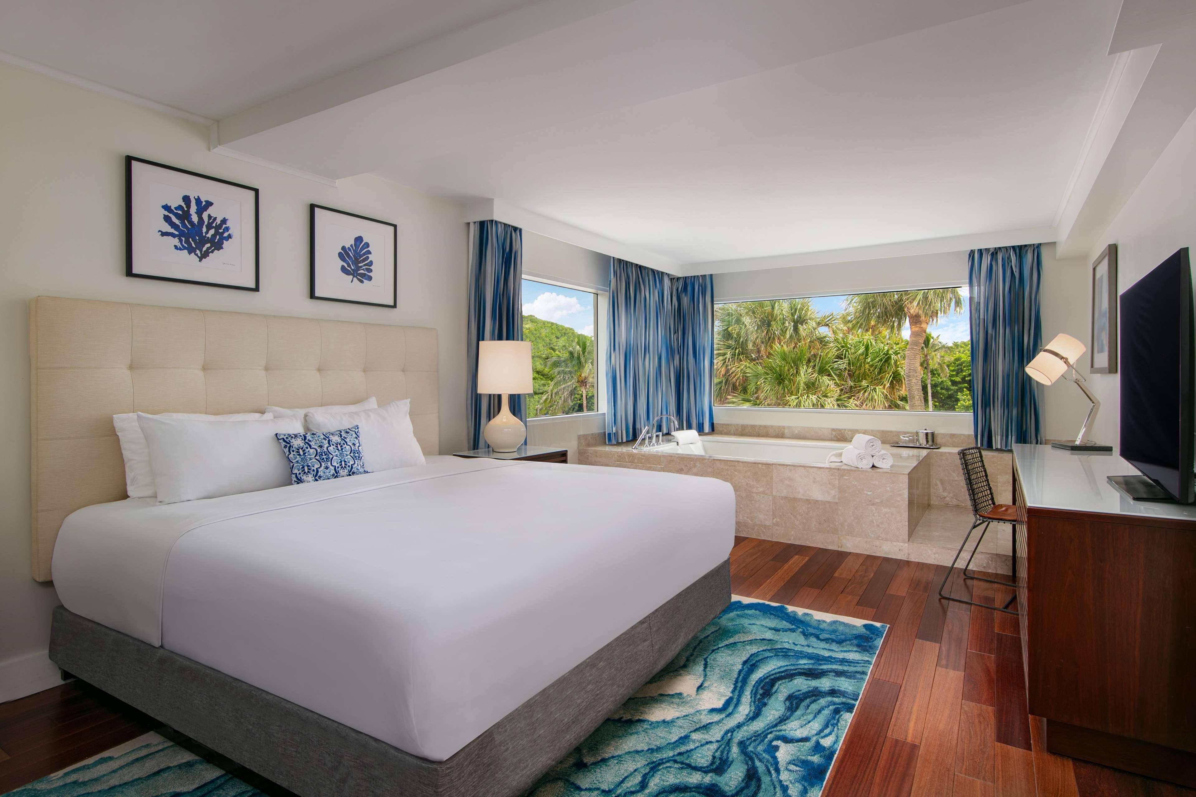 Junior Romance Suite - King - Park View image