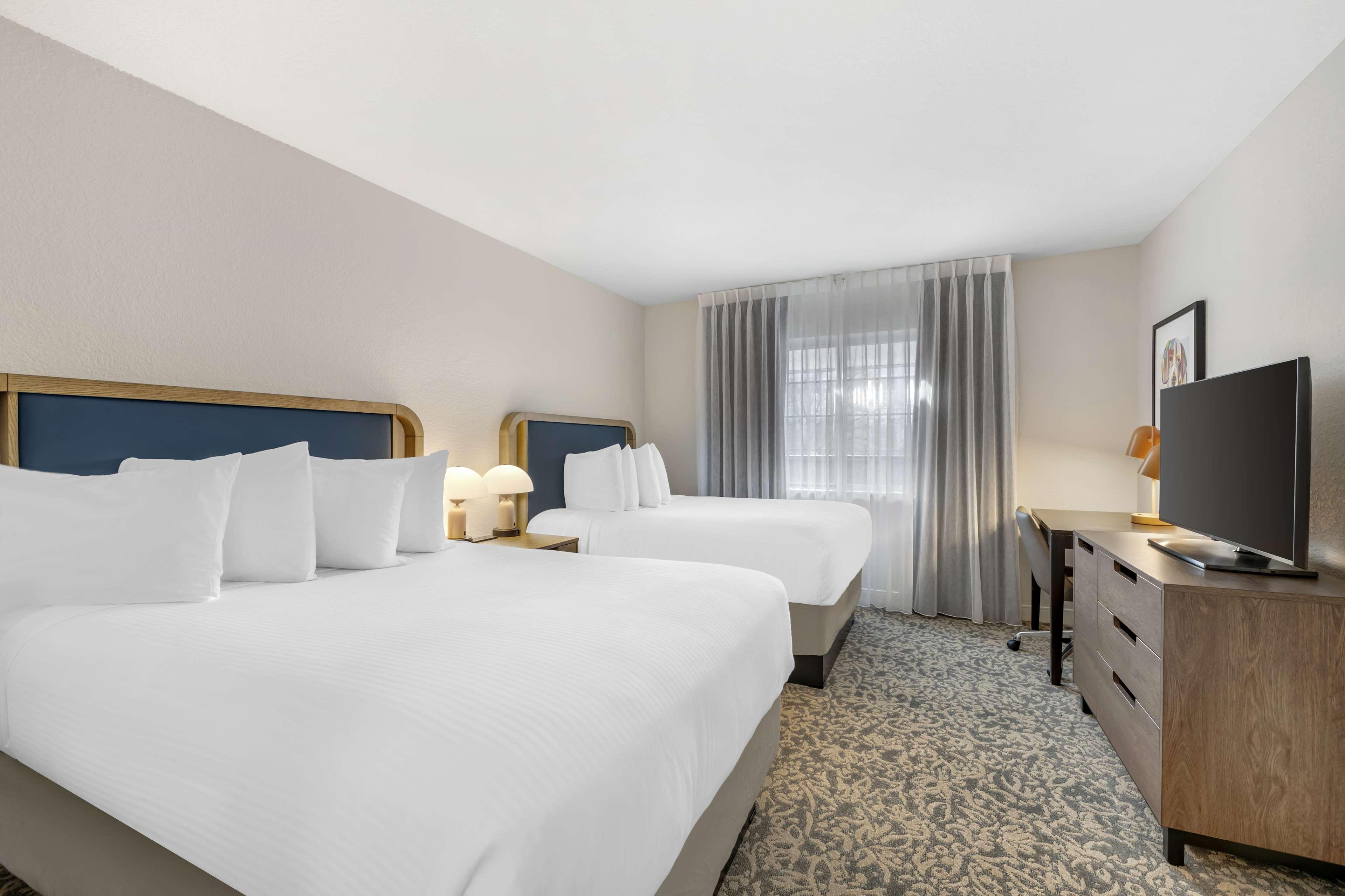 Two Bedroom Suite - King + Two Doubles image