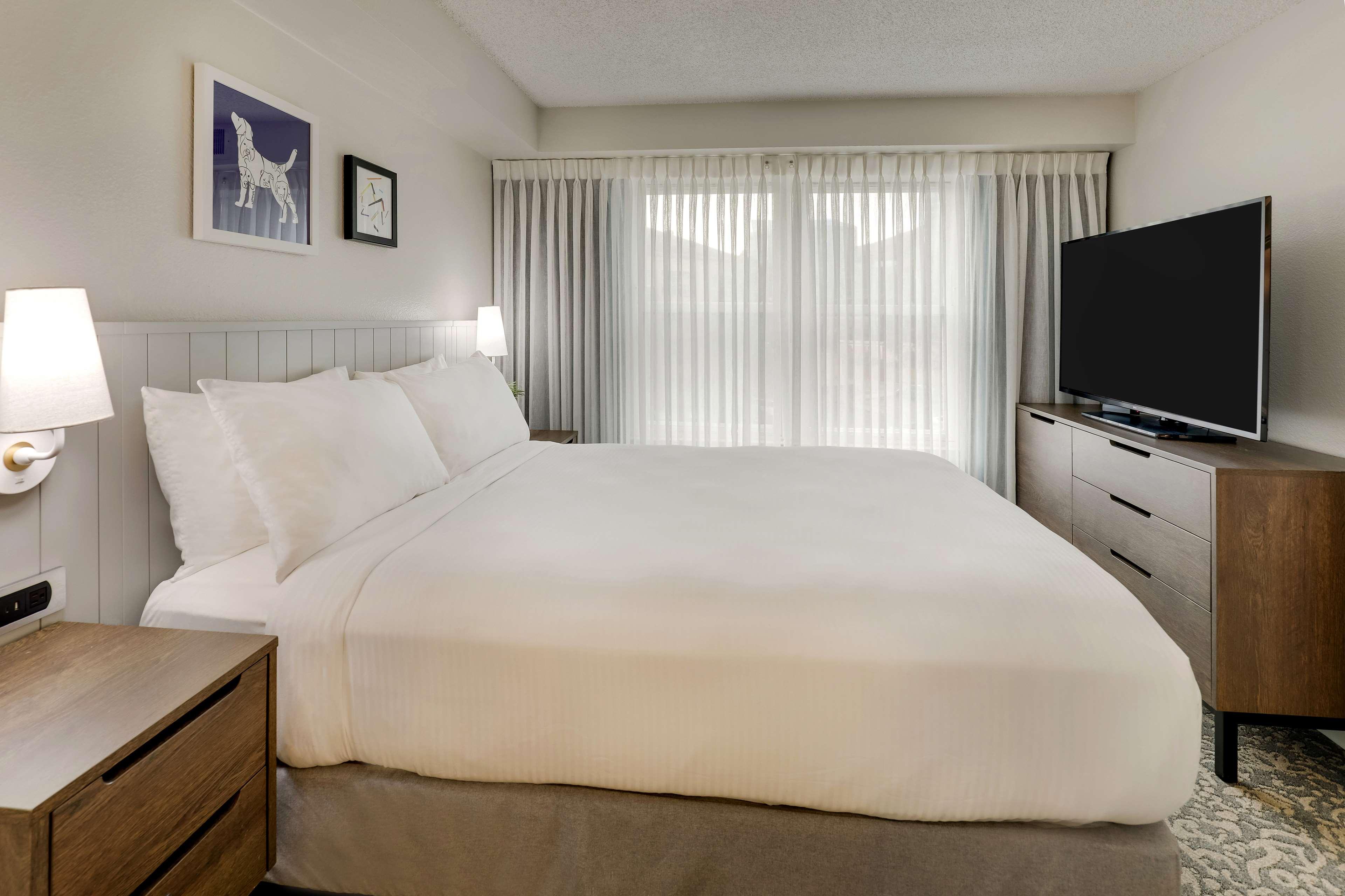 Hearing Accessible One Bedroom Suite King image