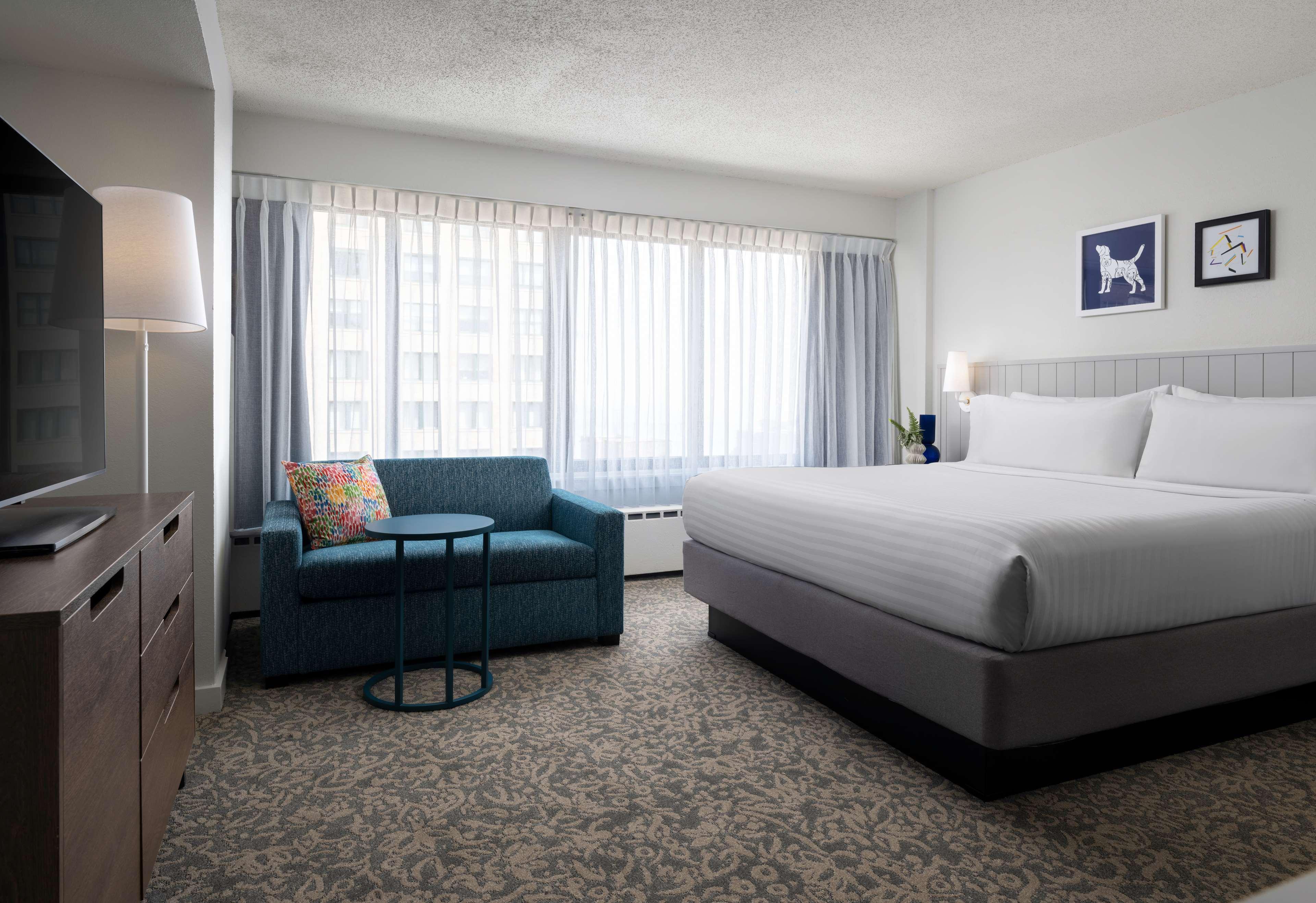 Studio Suite - King image