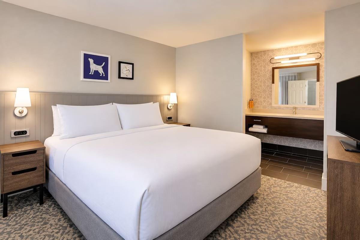 One Bedroom Suite - King image