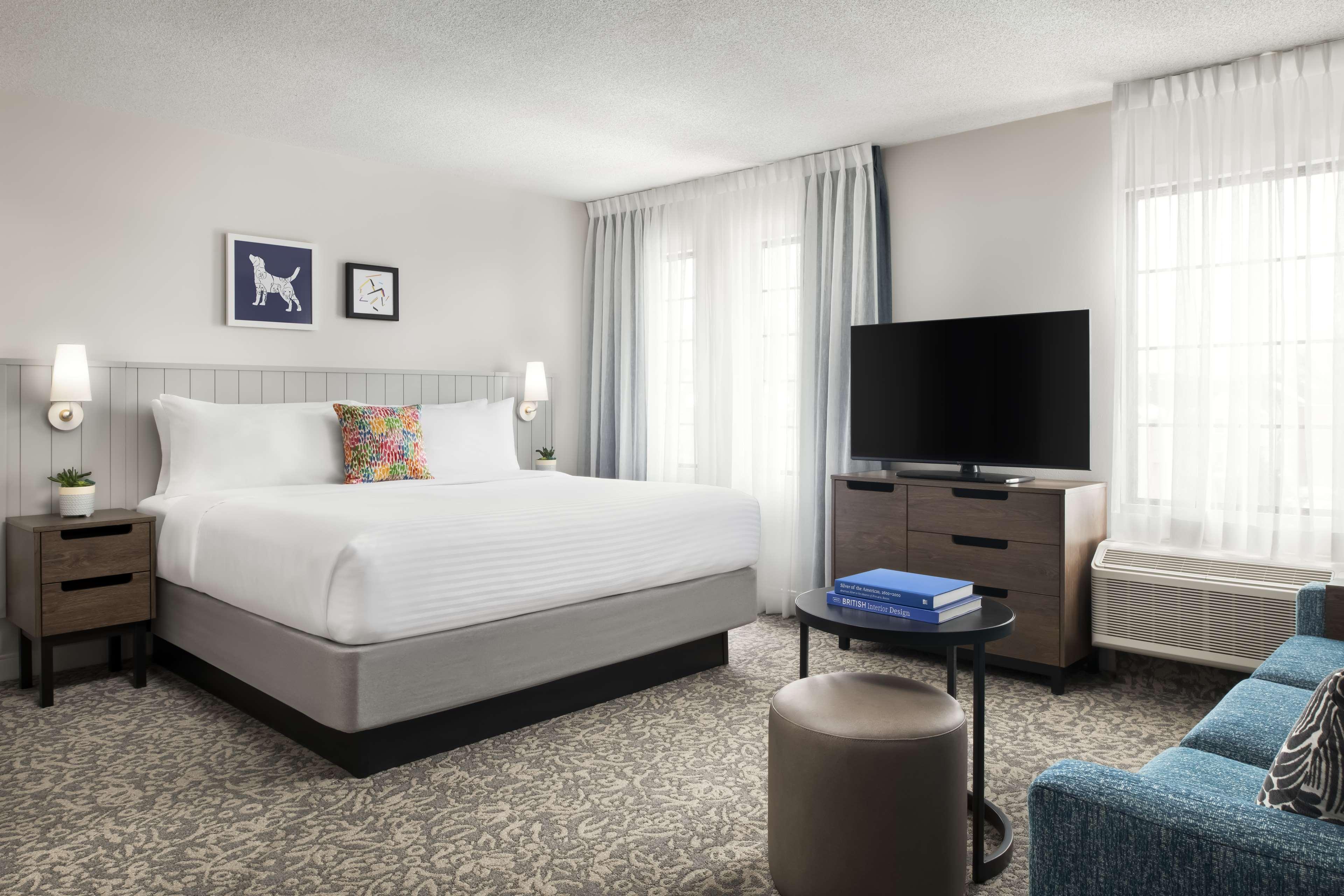 Studio Suite - King image